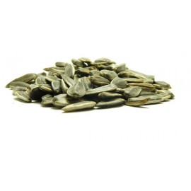 Ηλιόσπορος Ψημένος Αλατισμένος 