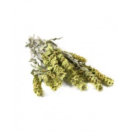 Τσάι Βουνού Ολύμπου 45γρ.