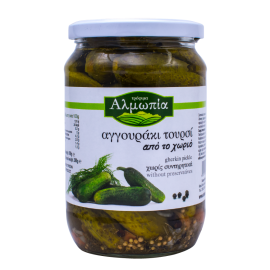 Αγγουράκι Τουρσί